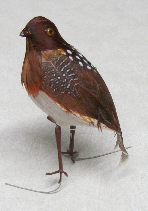 Feathered Quail - 4 inch - 1 piece